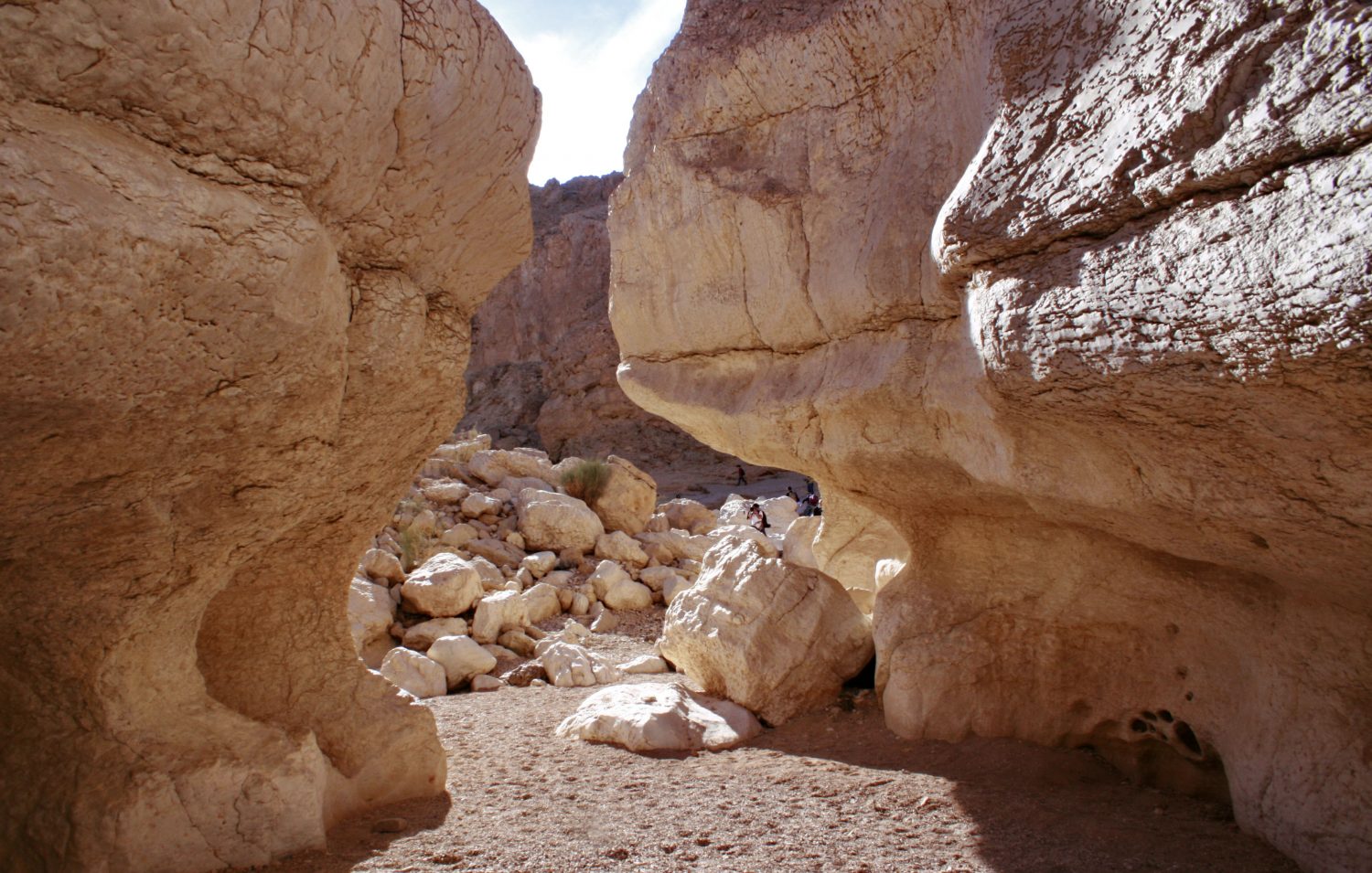 Folyómeder a sivatagban, fotó: Silló Sándor