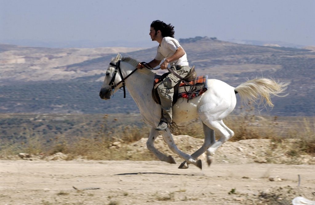 A Nablushoz közeli, azóta kiürített Gilad Farm egyik lakosa vágtat a lován, 2003 - fotó: Ohayon Avi / GPO