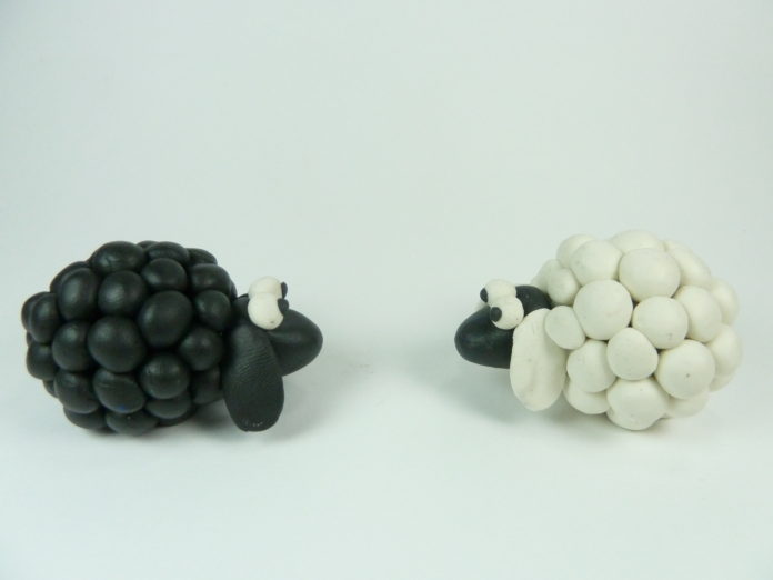 Black Sheep Meets White Sheep / Fotó: Leon Riskin - Flickr
