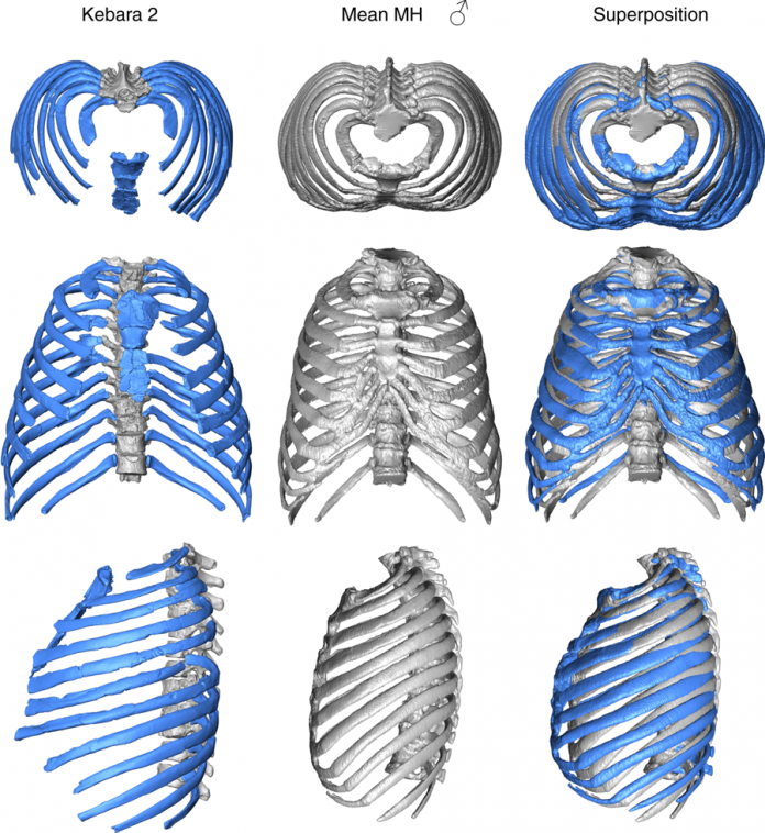 neandervolgyi bordaja