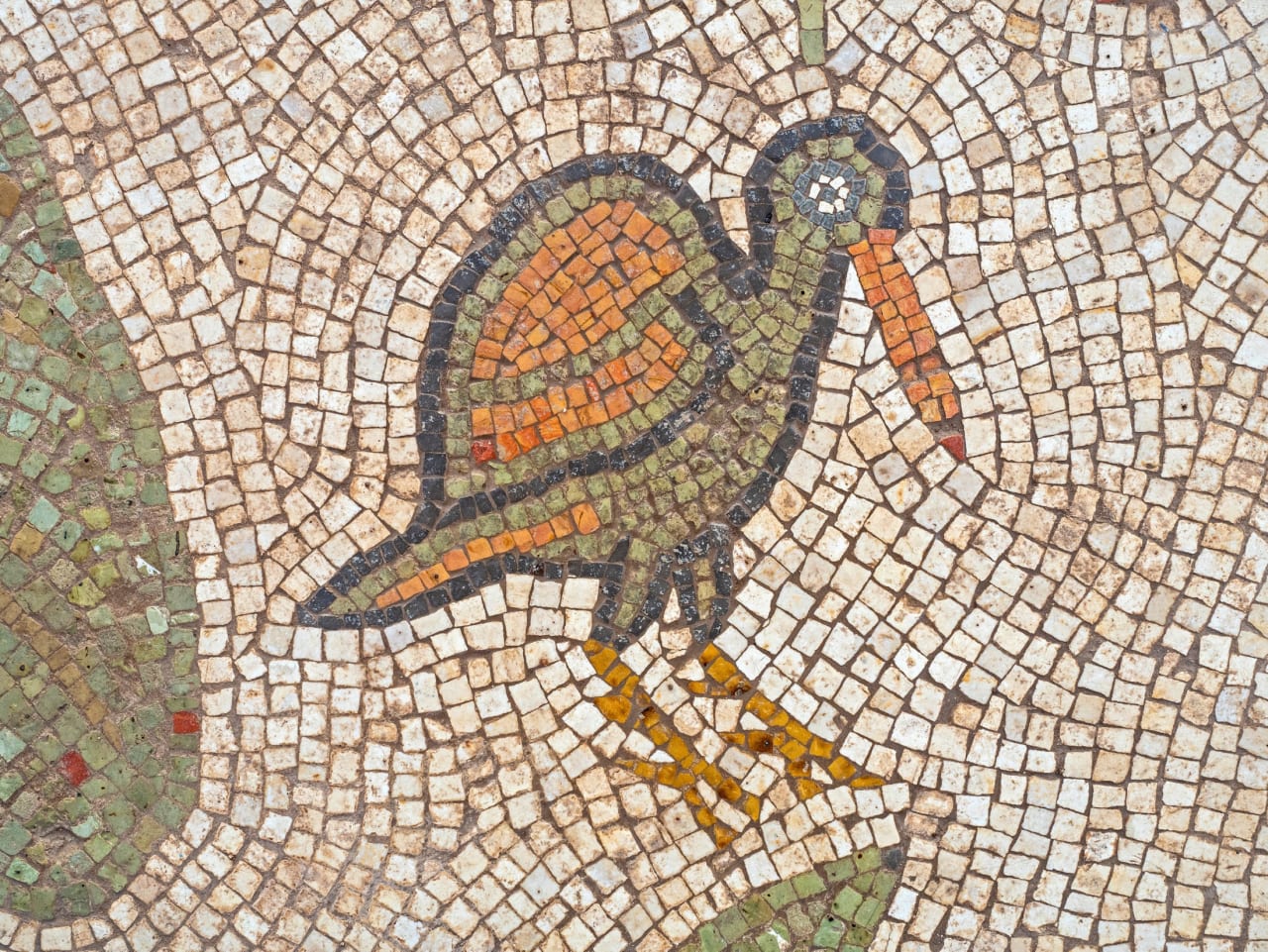 Bizanci Mozaik Beit Semes Madar Izraelinfo