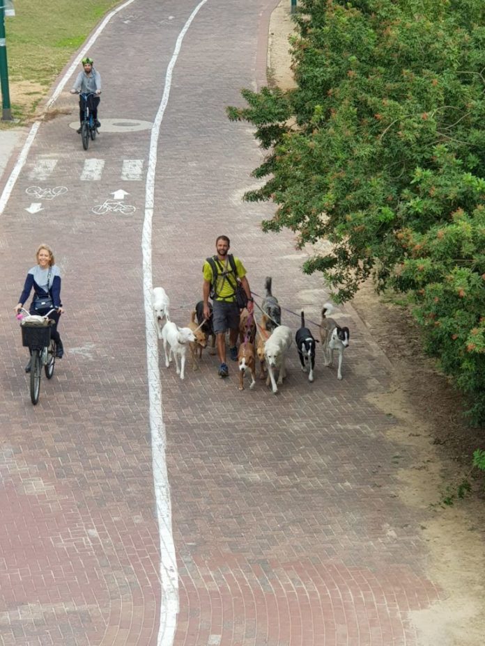 Tel-Avivban az emberek a határozott közlekedés hívei